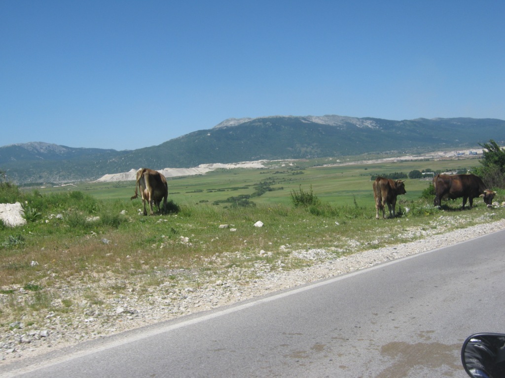 ALB-Hr-MnE-Srb 20110620110702