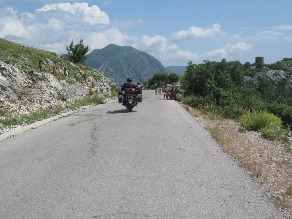 ALB-Hr-MnE-Srb 20110620144430
